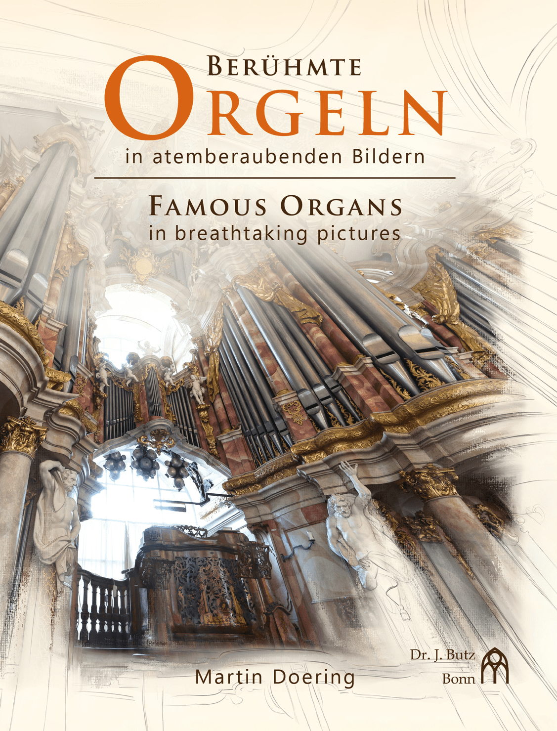 Famous Organs in Breathtaking Pictures